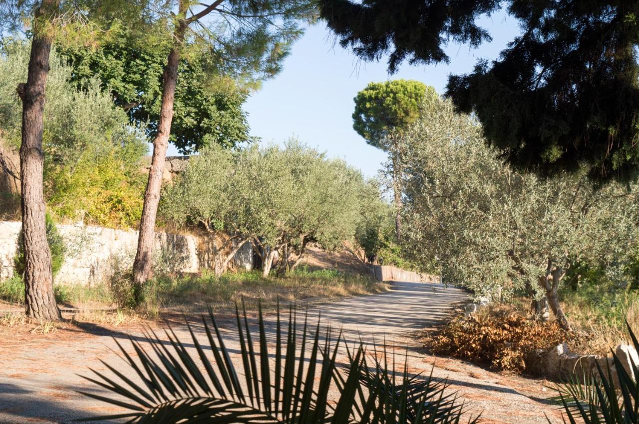 Hotel Nature Kolonjë Kültér fotó