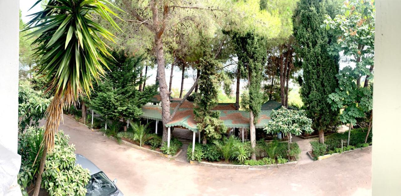 Hotel Nature Kolonjë Kültér fotó