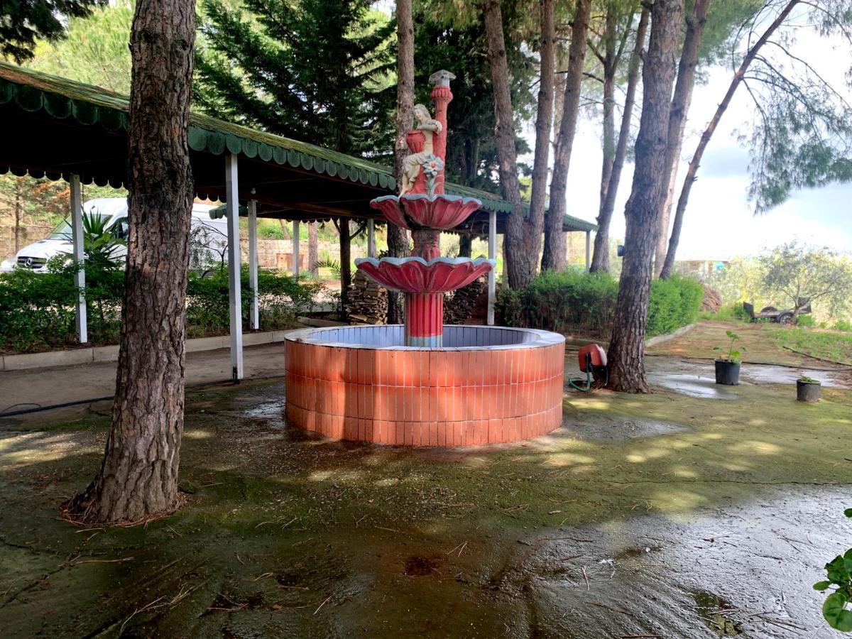 Hotel Nature Kolonjë Kültér fotó