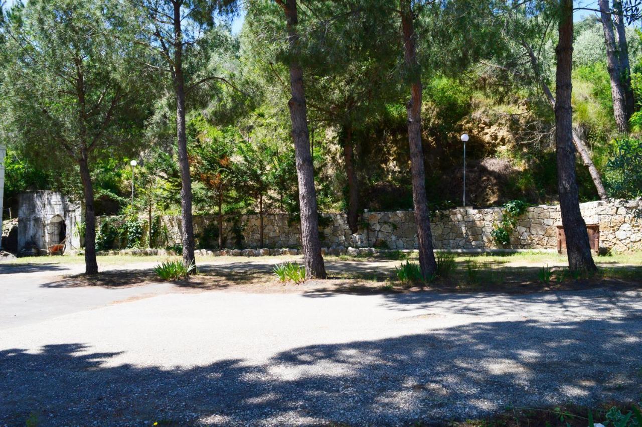Hotel Nature Kolonjë Kültér fotó