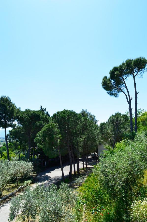 Hotel Nature Kolonjë Kültér fotó