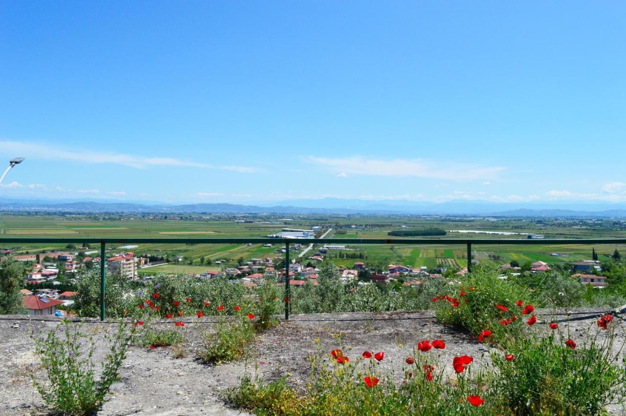 Hotel Nature Kolonjë Kültér fotó