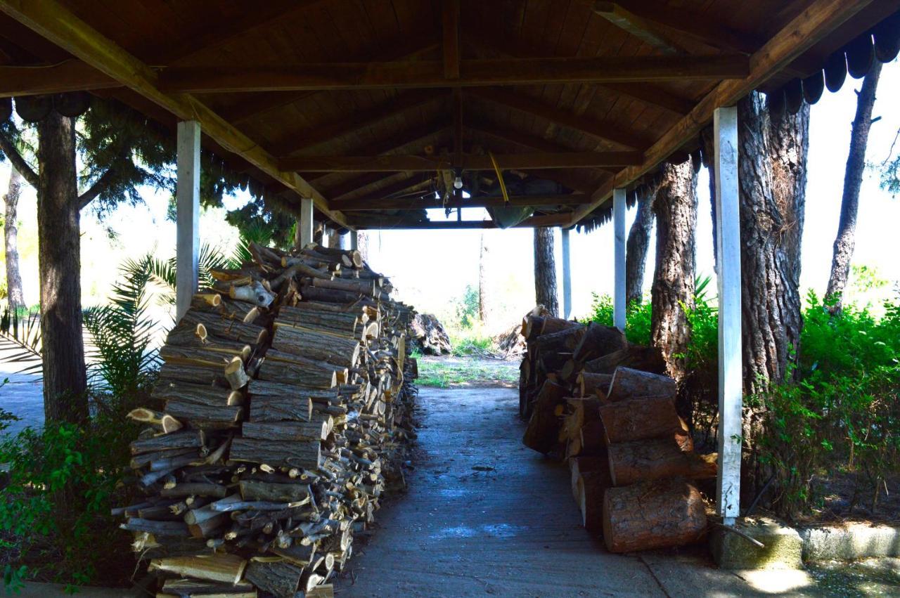 Hotel Nature Kolonjë Kültér fotó