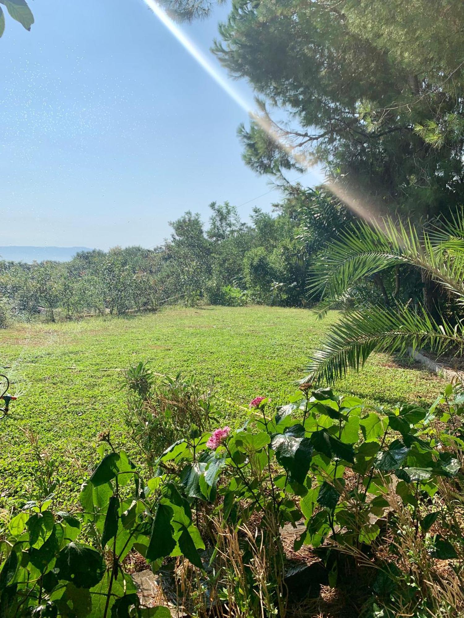 Hotel Nature Kolonjë Kültér fotó